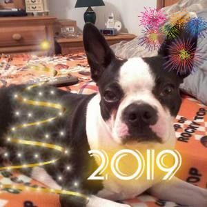 Meet your Posher, Steve